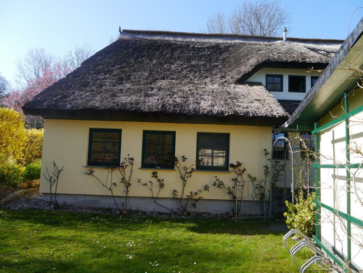 Urlaub Unter Reet Lägenhet Bergen Auf Rugen Exteriör bild